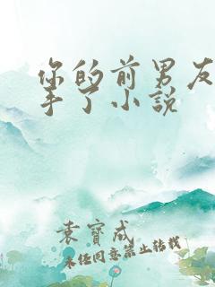 你的前男友我接手了小说