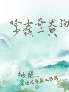 哈士奇犬狗狗多少钱一只