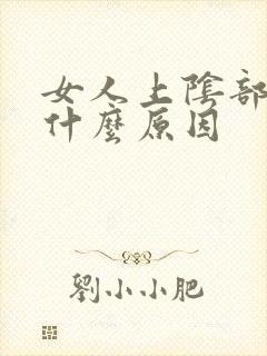 女人上阴部痒是什么原因