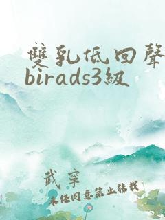 双乳低回声结节birads3级
