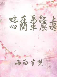 蛇在马路上不小心开车压过去了