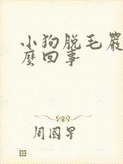 小狗脱毛严重怎么回事