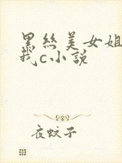 黑丝美女姐姐被我c小说