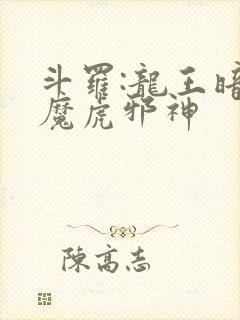 斗罗:龙王暗黑魔虎邪神