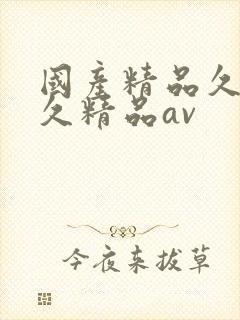 国产精品久久久久精品av