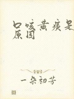 口咳黄痰是什么原因