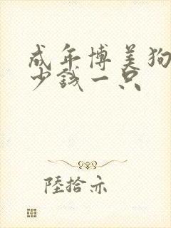 成年博美狗狗多少钱一只