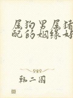 属狗男属猪女相配的姻缘好吗