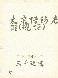 大宋佳的老公是谁(现任)