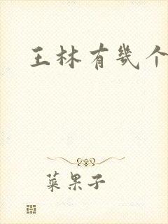 王林有几个妻子