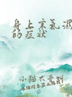 身上寒气湿气重的症状