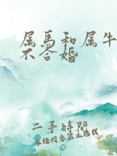 属马和属牛的合不合婚