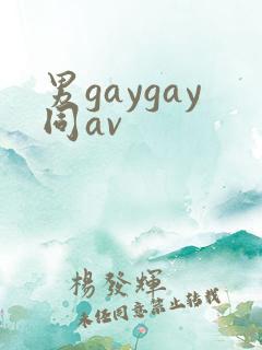男gaygay同av