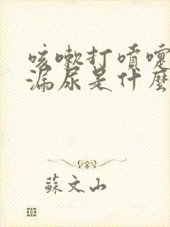 咳嗽打喷嚏都会漏尿是什么情况