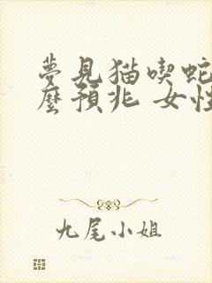 梦见猫吃蛇是什么预兆 女性