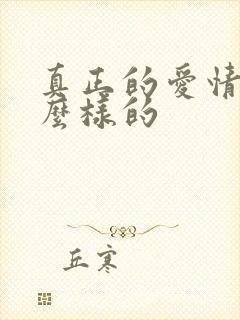 真正的爱情是怎么样的