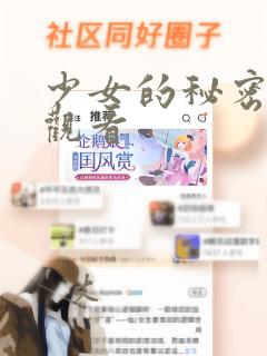 少女的秘密动漫观看