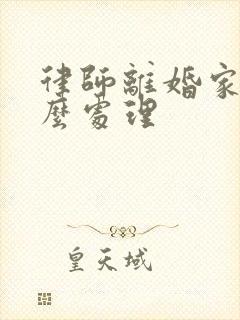 律师离婚家暴怎么处理