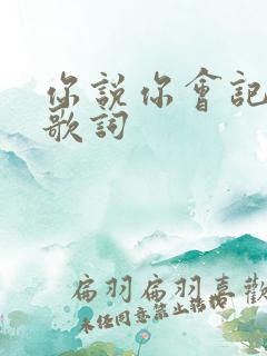 你说你会记得我歌词
