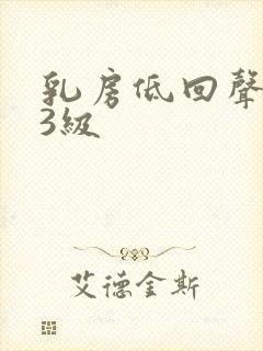 乳房低回声结节3级