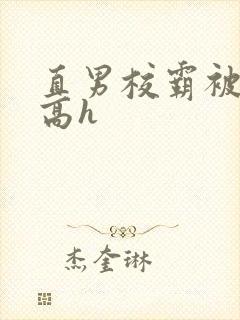 直男校霸被啪哭高h