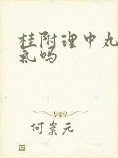 桂附理中丸去湿气吗