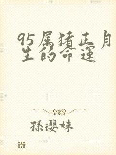 95属猪正月出生的命运