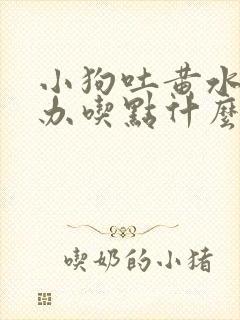 小狗吐黄水怎么办吃点什么药管用