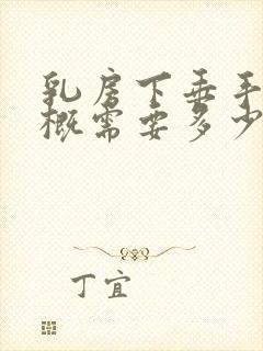 乳房下垂手术大概需要多少钱