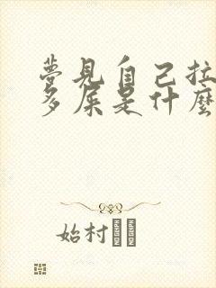 梦见自己拉了很多屎是什么预兆