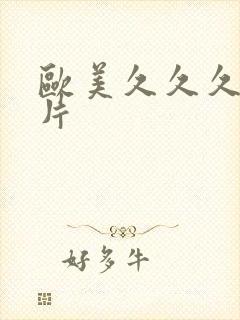 欧美久久久一级片