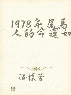 1978年属马人的命运如何