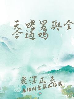 天蝎男与金牛女合适吗