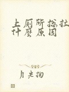 上厕所总拉血是什么原因