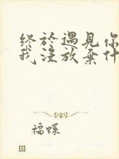 终于遇见你还好我没放弃什么歌