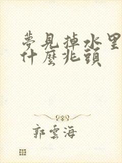 梦见掉水里了是什么兆头