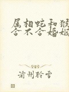 属相蛇和猴属相合不合婚姻