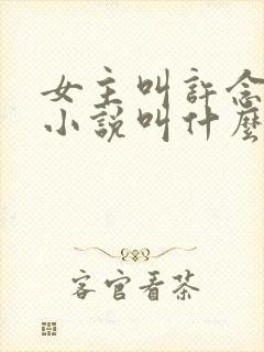 女主叫许念这本小说叫什么