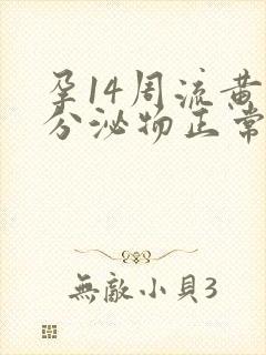 孕14周流黄色分泌物正常吗