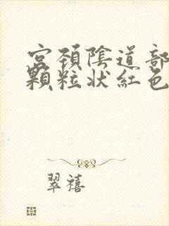 宫颈阴道部见细颗粒状红色区