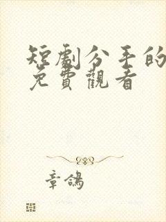 短剧分手的决心免费观看