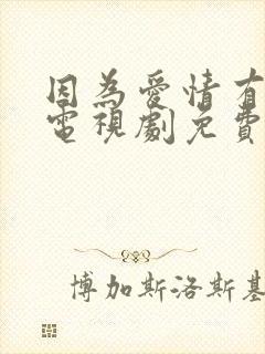 因为爱情有幸福电视剧免费观看