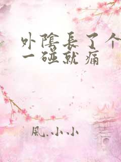 外阴长了个疙瘩一碰就痛