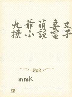 九爷萌妻又甜又撩小说电子版txt