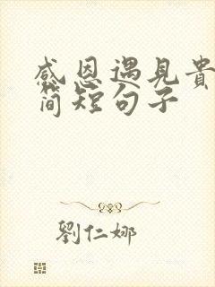 感恩遇见贵人的简短句子