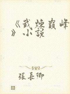 《武炼巅峰杨开》小说