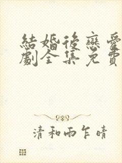 结婚后恋爱电视剧全集免费观看下载