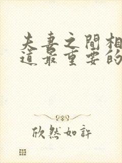 夫妻之间相处之道最重要的是什么