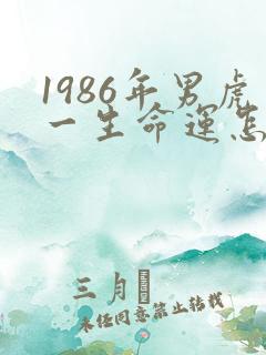 1986年男虎一生命运怎么样
