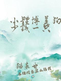 小体博美狗狗多少钱一只